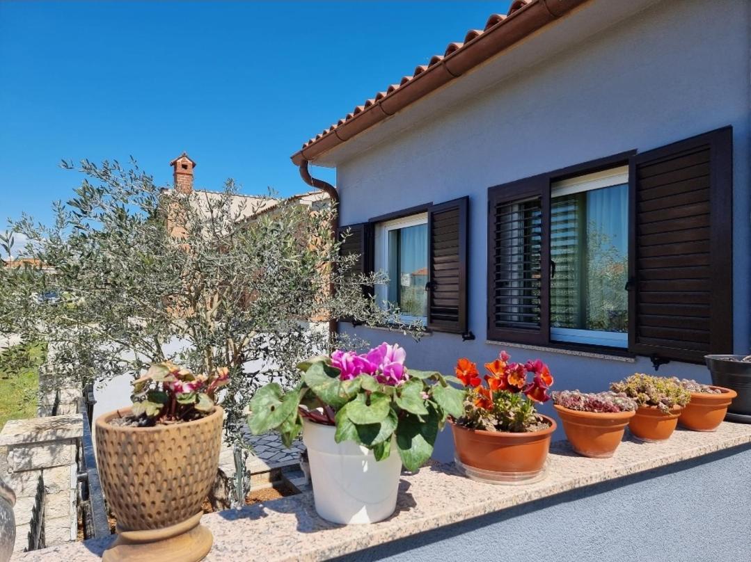 Frida Apartment Pula Bagian luar foto